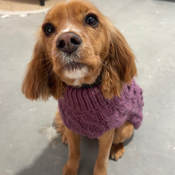 'Purple' Sweater