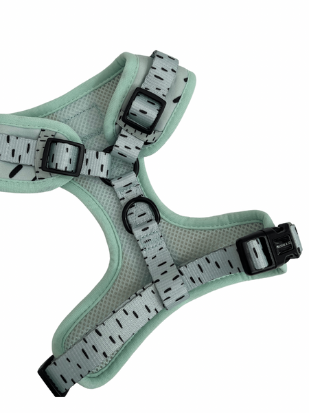 'Mint To Be' Adjustable Harness