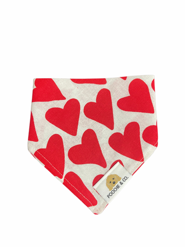 'Love Is In The Air' Bandana